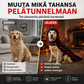 ⏳Ajallisesti rajoitettu erikoistarjous⏰ Lemmikin Halloween-tuhannesjalkaisasusto