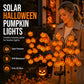 Vedenkestävät Halloween-kurpitsa-aurinkokäyttöiset oksavalot