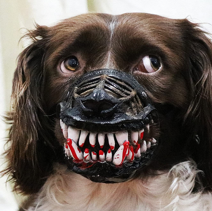 🎃 Tänään -50 %! 🐶 Halloween-koiran suukappale, jossa on kammottavat vampyyrin hampaat