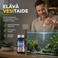 Ammattimaiset akvaarin vedenpuhdistustabletit
